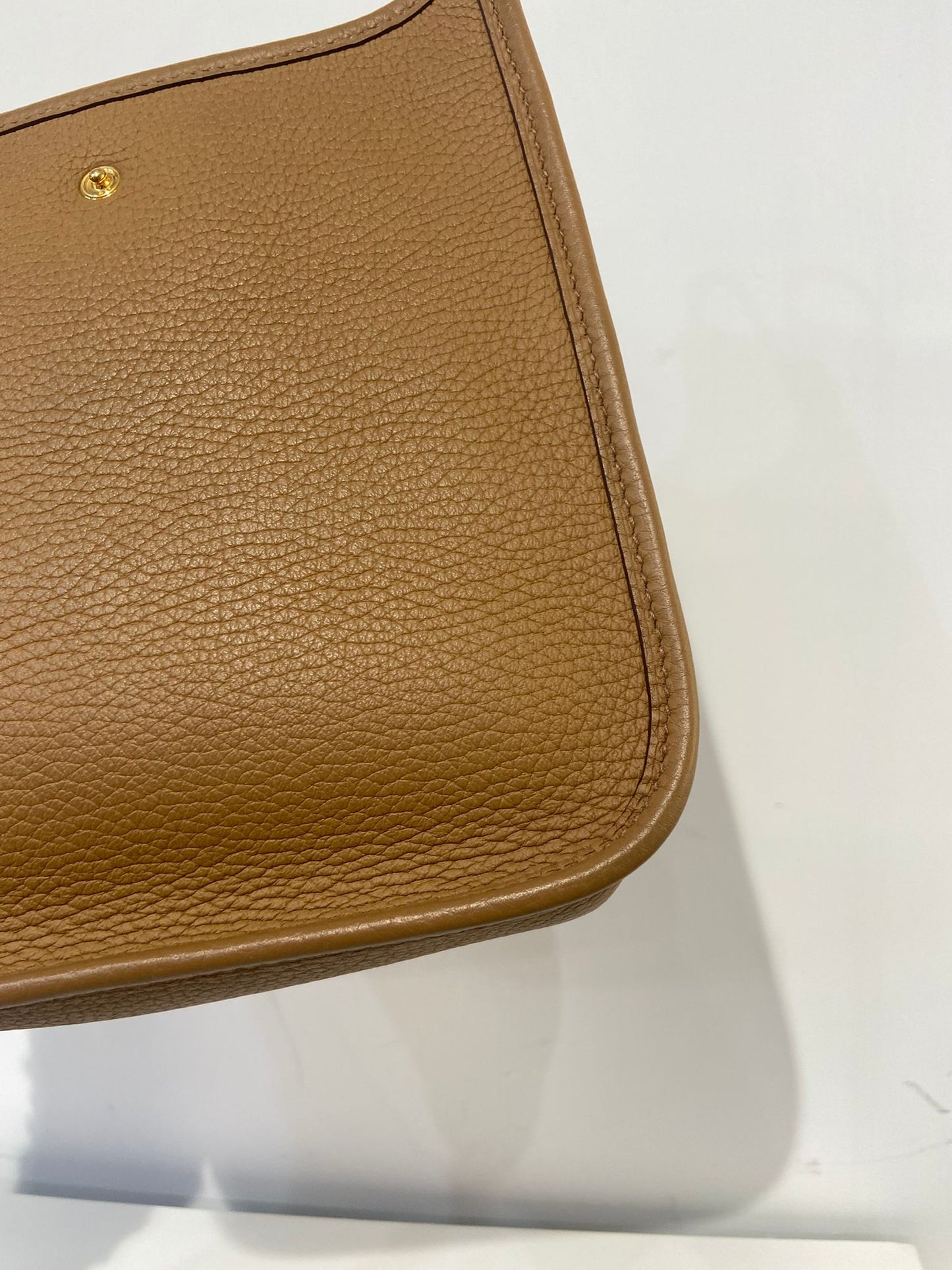 Hermes mini evelyne