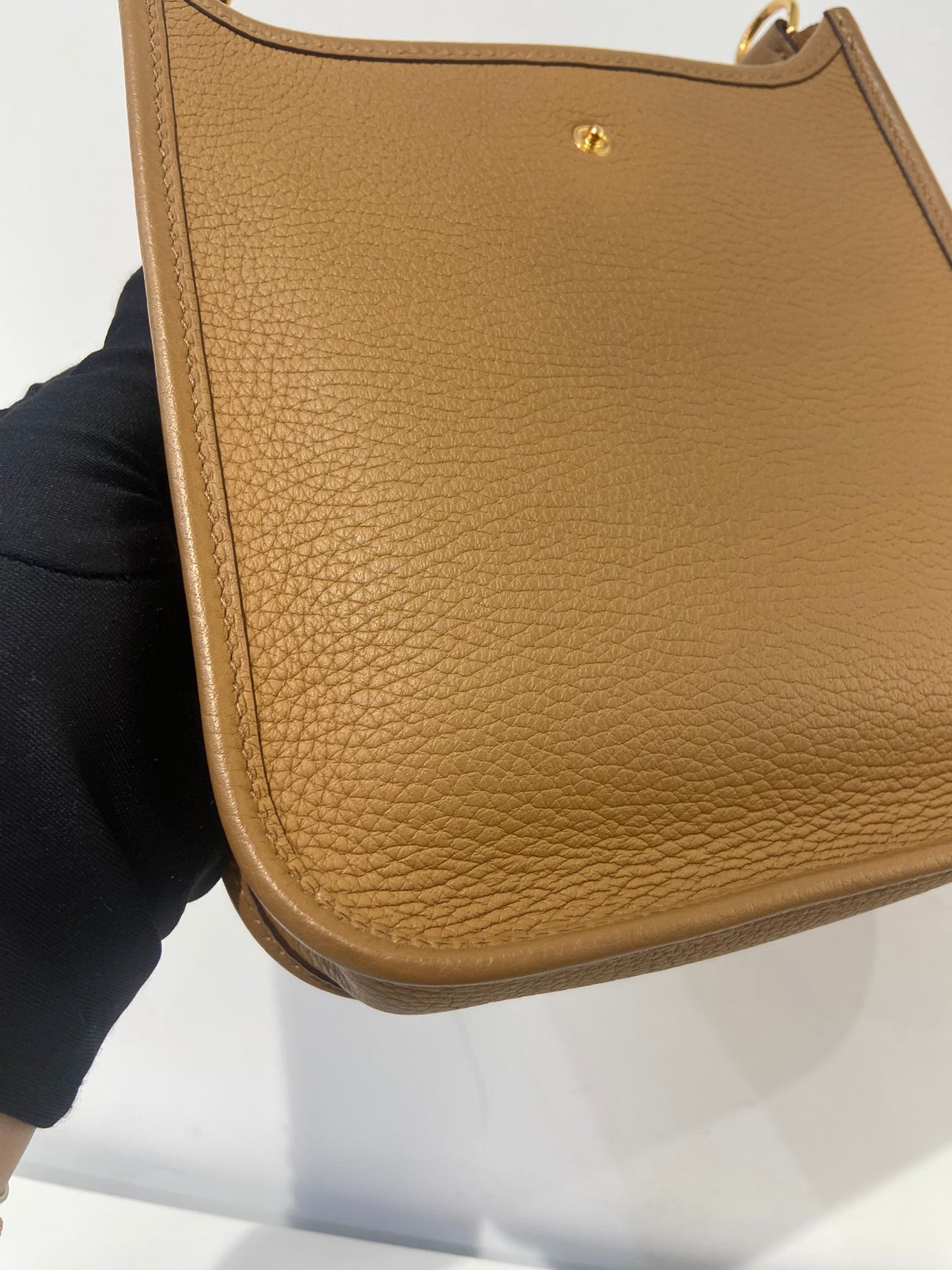 Hermes mini evelyne