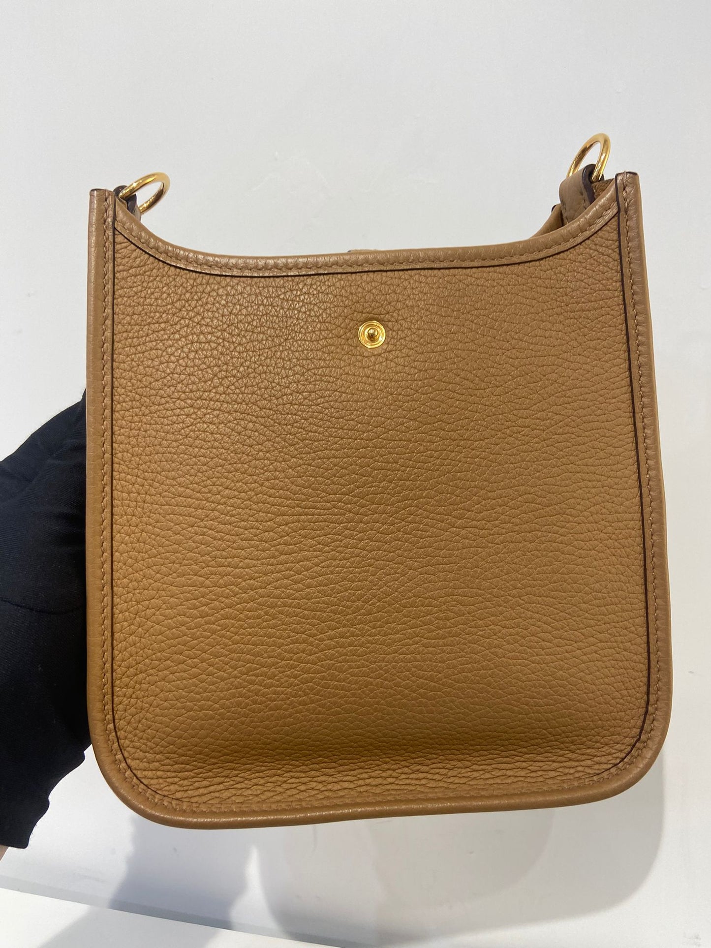 Hermes mini evelyne