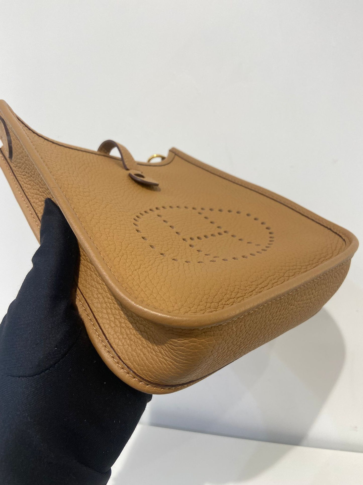 Hermes mini evelyne