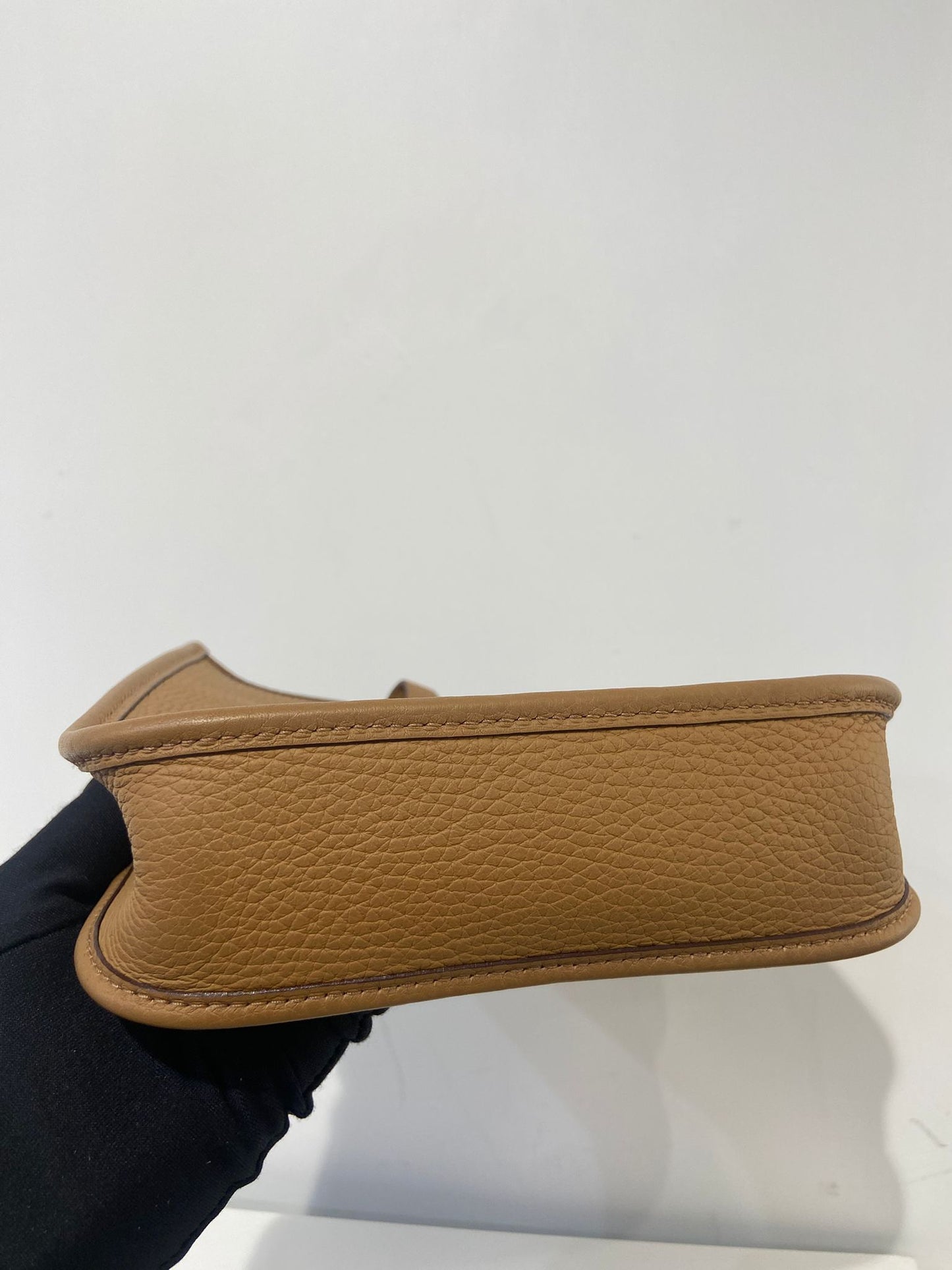 Hermes mini evelyne