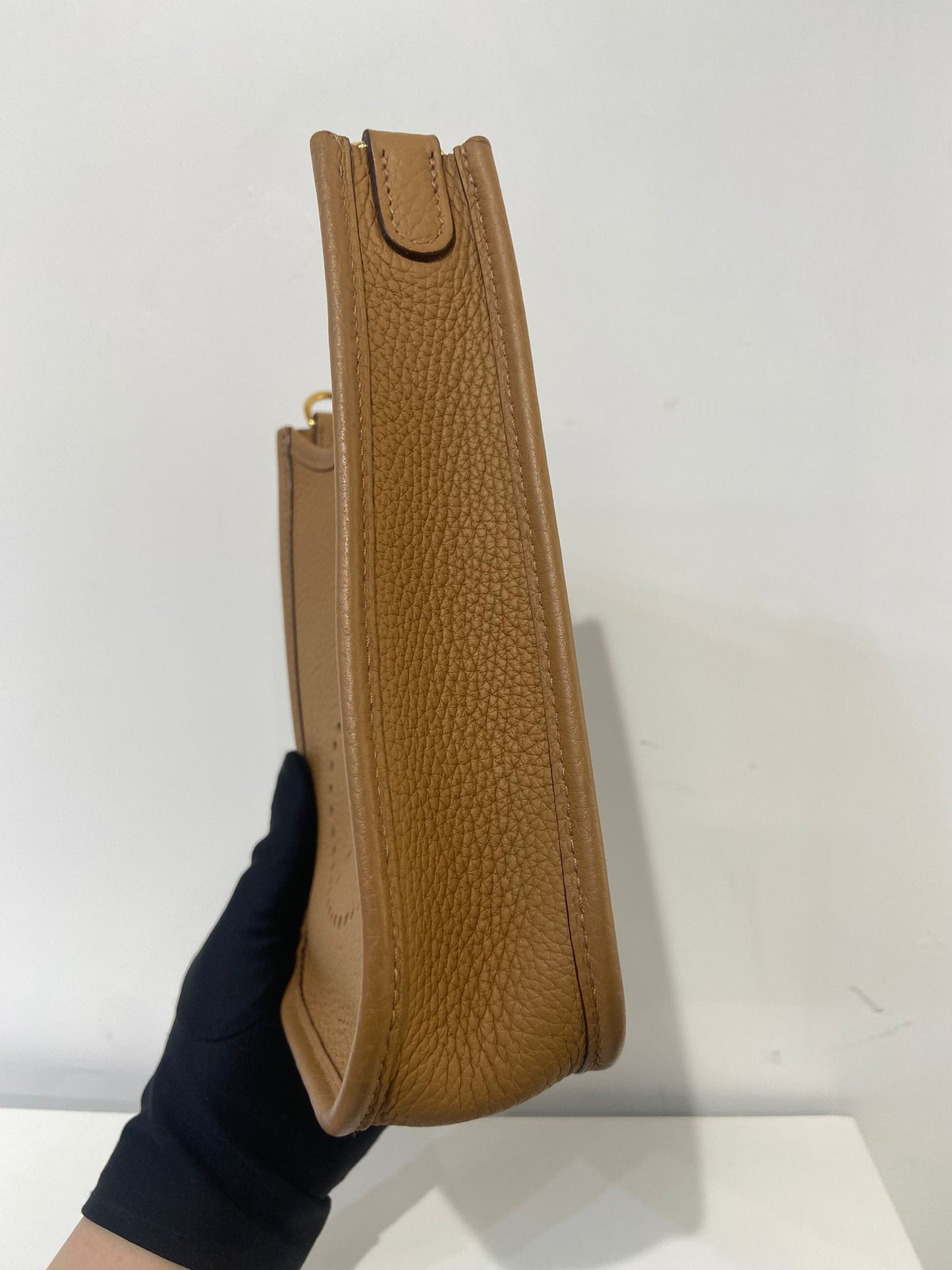 Hermes mini evelyne