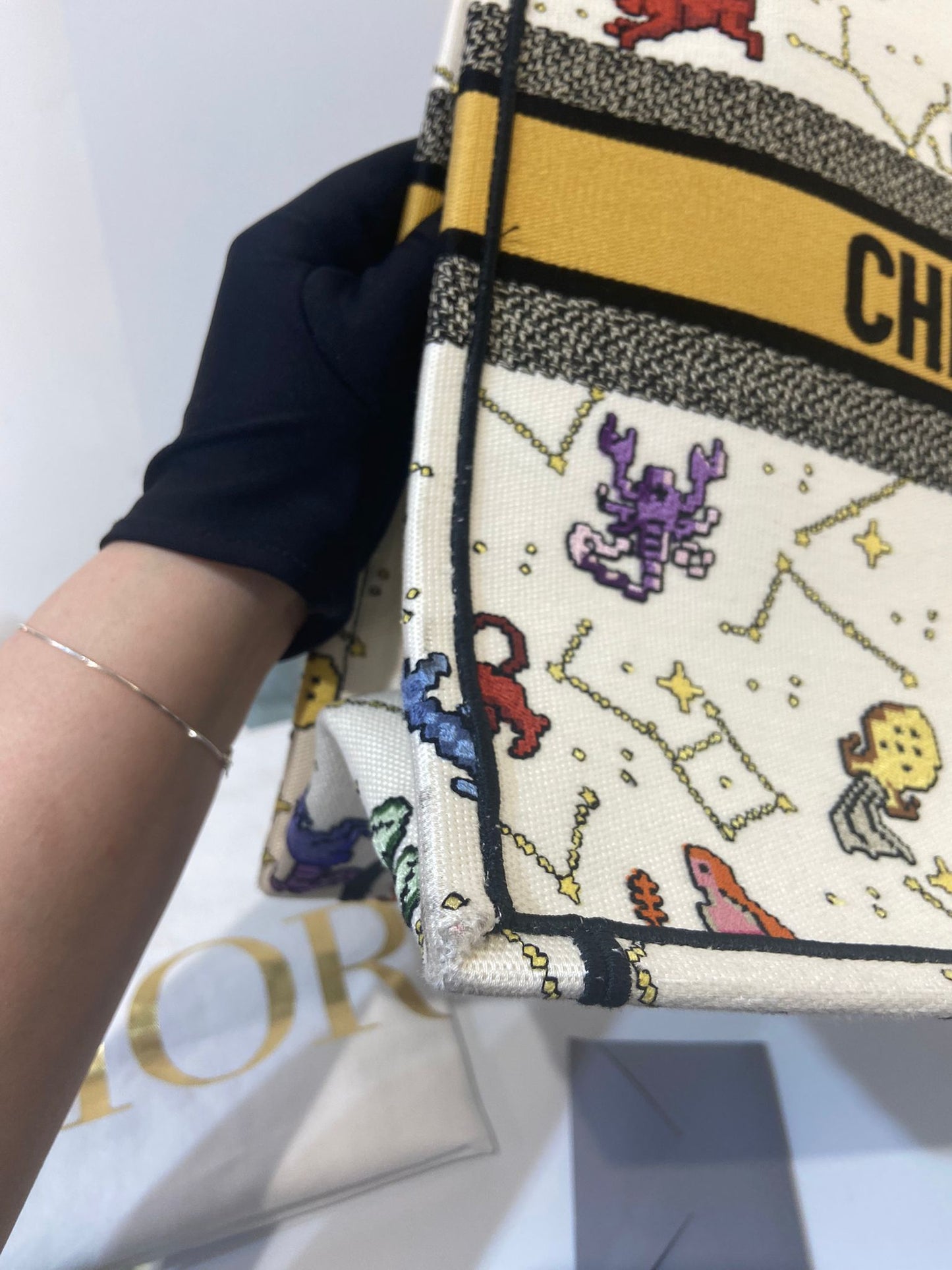 DIOR BOOK TOTE Large Pixel Zodiac