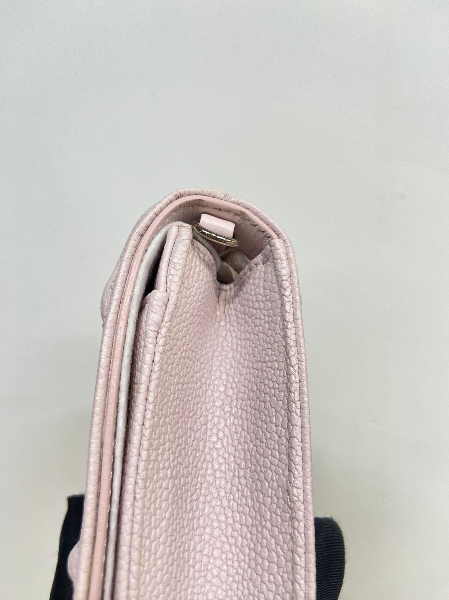 Dior 盾牌WOC