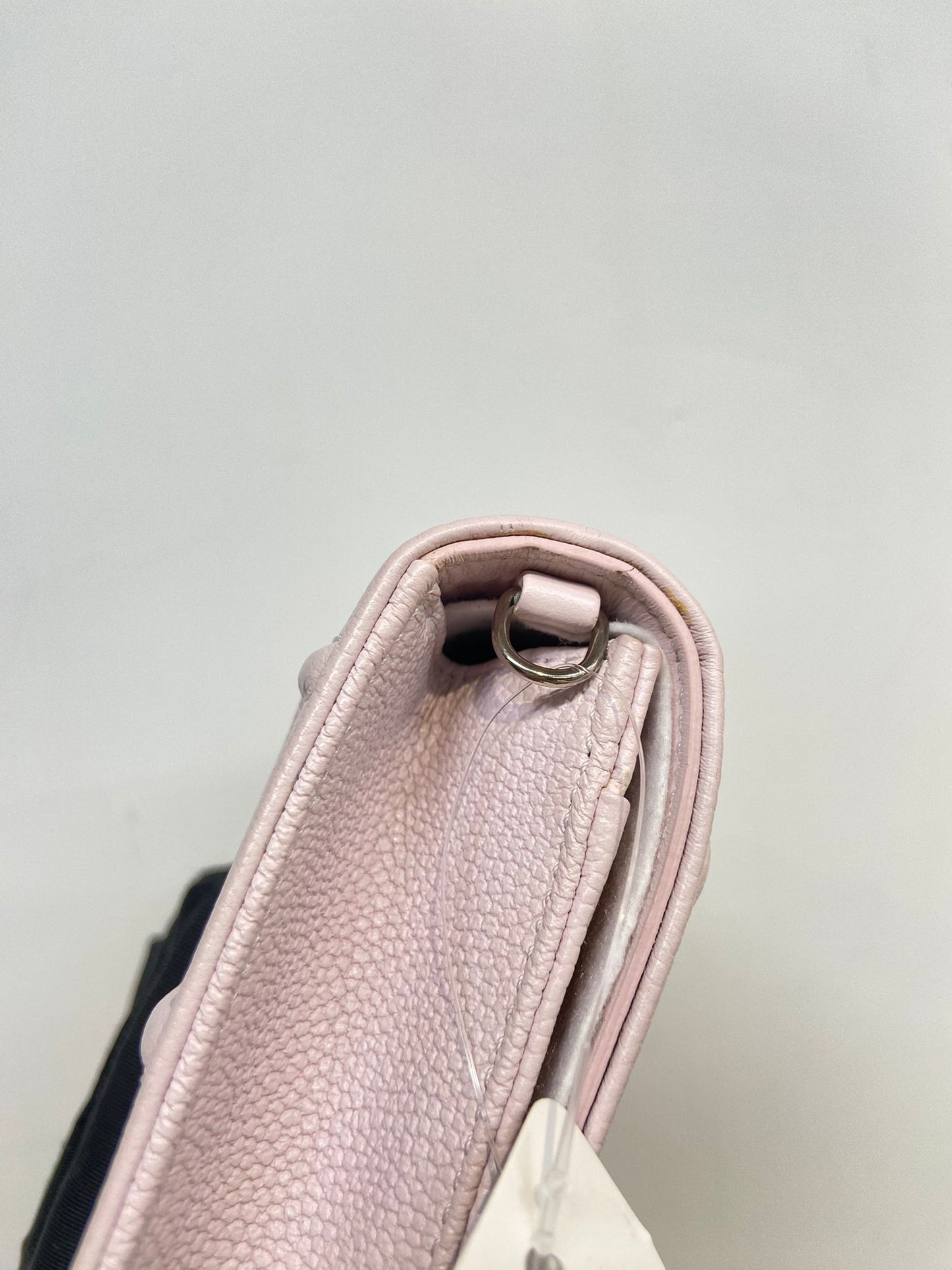 Dior 盾牌WOC