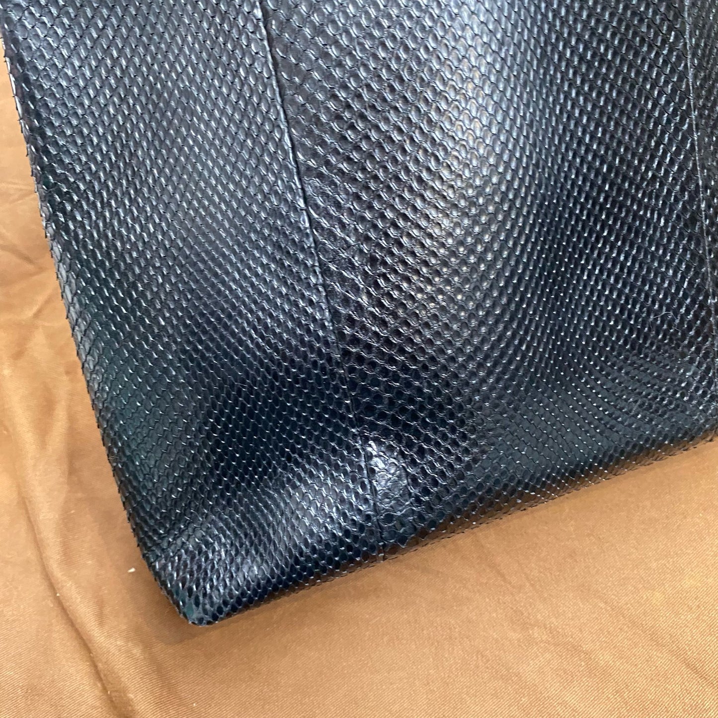 Gucci蜥蜴皮袋 有塵袋