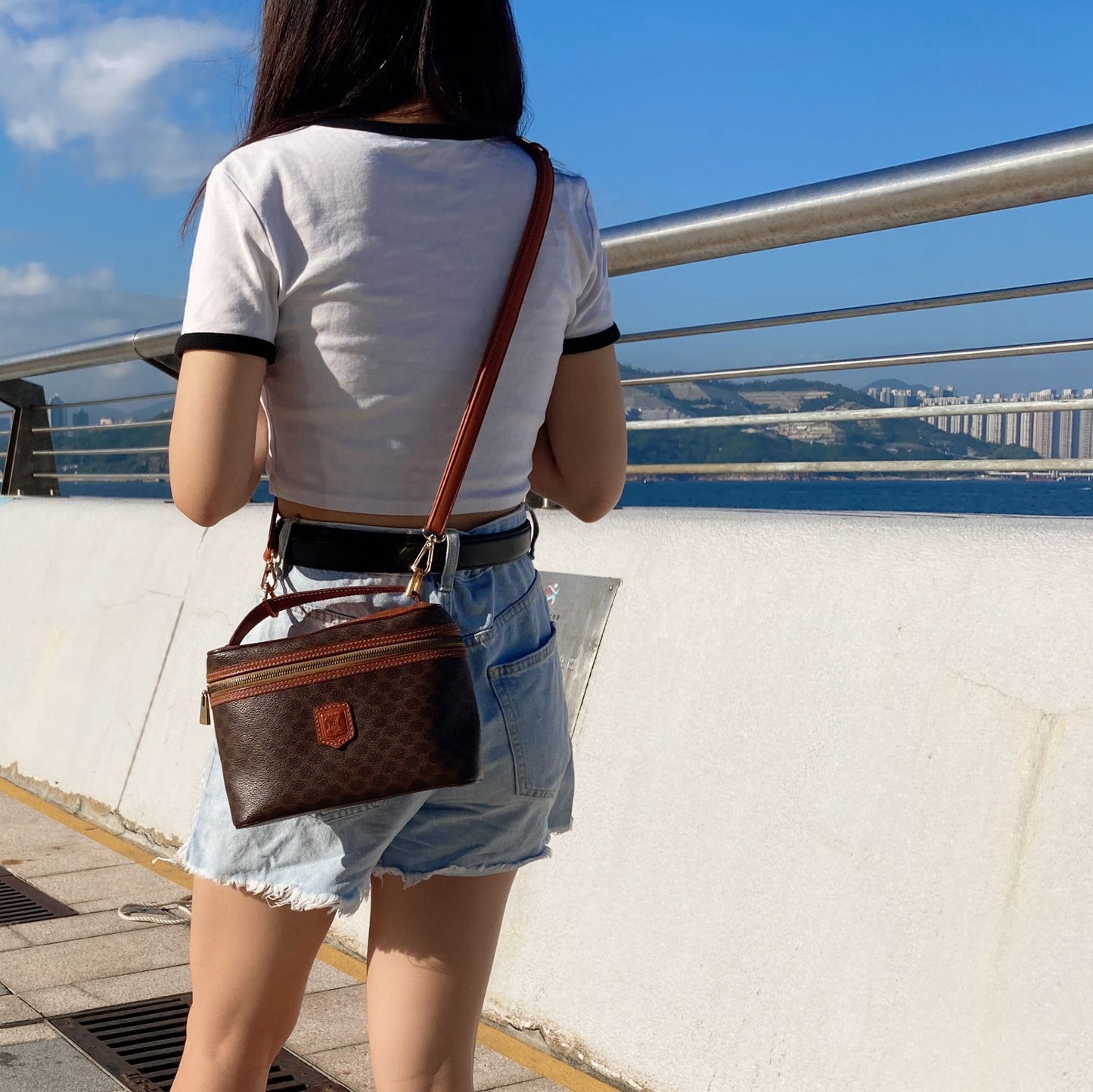 Celine Vintage Macadam Vanity Case